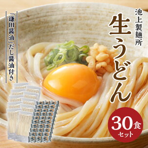 本家 池上製麺所 生うどん30食（鎌田醤油付） | うどん...