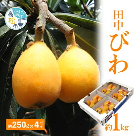 【ふるさと納税】田中びわ 約 1kg 約250g × 4パック びわ 果物 フルーツ 大きめ 果汁 おすそ分け 自宅用 家庭用 おやつ デザート お取り寄せ お取り寄せグルメ 食品 香川県 高松市 送料無料