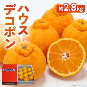 yӂ邳Ɣ[ŁzYG߂̉ʕnEXfR|2.8kgy2025N12{`2026N3{zz | ݂ nEX͔| k ʎ ʕ t[c  炲ƐHׂ p ƒp f