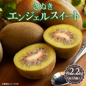 yӂ邳Ɣ[ŁzʂGWFXC[g 2.2kgy2025N11{`2026N1{zz | LEC LECt[c ʕ t[c XC[c fU[g  x Â  ʕ _Y 