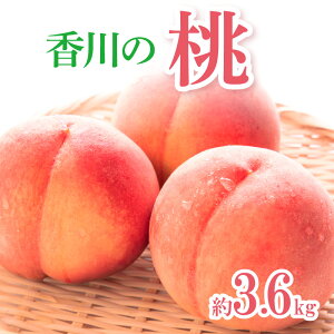 �y�ӂ邳�Ɣ[�Łz����̓� ��3.6kg�y2026�N6�����{�`2026�N8����{�z���z | �� �ʕ� �t���[�c �f�U�[�g �X�C�[�c �� �ʕ� �ʎ� �ʓ� �ʏ` �{ �{�̉ʕ� �G�߂̉ʕ� �G�� �Y�n���� �_�Y�� �_��