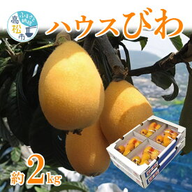 【ふるさと納税】ハウス びわ 約2kg 果物 フルーツ スイーツ デザート 果実 果肉 果汁 夏フルーツ 夏 旬 旬の果物 季節の果物 ハウス栽培 農産物 農作物 生鮮食品 生鮮 青果 青果物 みずみずしい ジューシー グルメ お取り寄せ おすすめ 瀬戸内 香川県 高松市 送料無料