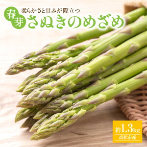 yӂ邳Ɣ[Łz_炩ƊÂ݂ۗAXpKXuʂ̂߂(t) 1.3kgy2026-1{`2026-3{zz | 傫 _炩 Â IWii IWi 蕨 v[