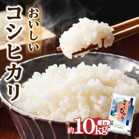 【ふるさと納税】コシヒカリ 約10kg 米 白米 お米 精米 おいしい ブランド米 粘り つや 甘味 おうち時間 おうちごはん 朝食 昼食 夕食 和食 洋食 瀬戸内 食品 食べ物 お取り寄せ 香川県産 香川県 高松市 送料無料