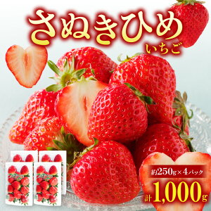 yӂ邳Ɣ[ŁzʂЂ߂4pbN(e250g)y2026N1{`2026N5{zz | ʂЂ߂ 蕨 v[g  p J AW fU[g  ʂ