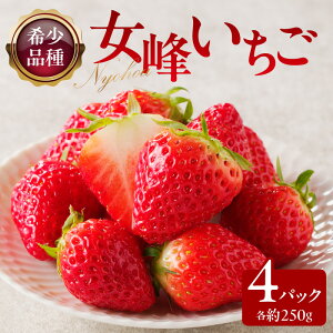 �y�ӂ邳�Ɣ[�Łz�󏭕i��@���􂢂���4�p�b�N(�e��250g)�y2026�N1�����{�`2026�N6����{�z���z | �� �󏭕i�� ����p ������ �P�[�L �s���[�� �W���� ���H�p �ʕ� �t���[�c ��� �ʎ��I��