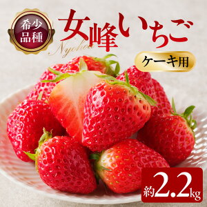 yӂ邳Ɣ[Łz󏭂Ȃ P[Lp 􂢂 2.2kgy2026N1{`2026N5{zz | P[Lp  󏭕i AW W P[L gbsO s[ fU[g XC[c 