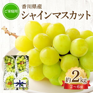 yӂ邳Ɣ[ŁzƒpVC}XJbg  2kg Ԃǂ y2024-8{`2024-9{zz | VC }XJbg Ԃǂ ʕ t[c fU[g XC[c Yn 炲 lC 