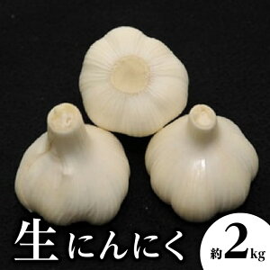 �y�ӂ邳�Ɣ[�Łz���ɂ�ɂ� ��2kg�y2026-5����{�`2026-6����{�z���z | ���Y �ɂ�ɂ� ��� ���� �Z�� �V�N �Y�n���� �N�x���Q �������Q �H�i �{ �{�̖�� �G�߂̖�� �H�� �G�� �_�앨 �_�Y�� 