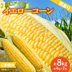 �y�ӂ邳�Ɣ[�Łz�󂠂� ���ƒ�p ���˓��C�G���[�R�[�� ��8kg�y2026-6����{�`2026-7�����{�z���z | �T�C�Y �s���� ������ �� ���� ������ �ƒ�p ���˓� �C�G���[�R�[�� �R�[�� �g�E�����R�V 