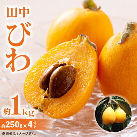 【ふるさと納税】田中びわ 約1kg (約250g×4パック)【2027-6月上旬～2027-7月中旬配送】 | 果物 フルーツ 大きめ 果実 果汁 青果物 青果 生鮮 生鮮食品 おすそ分け 自宅用 家庭用 贈答 贈り物 ギフト おやつ スイーツ デザート グルメ お取り寄せ お取り寄せグルメ 食品