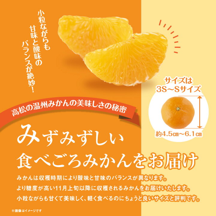 格安激安 ふるさと納税 高松市 レモン 約5kg Rmladv Com Br