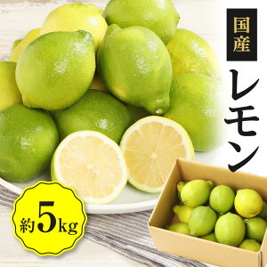 �y�ӂ邳�Ɣ[�Łz�������@��5kg�y2025�N11�����{�`2026�N4����{�z���z | ������ �ʕ� �������ʏ` �������` �ʏ` �t���[�c �E�G ���i�� �l�C ���S ���S ������ ����p �ƒ�p �A�����W �X��