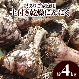 【ふるさと納税】訳あり 土付き 乾燥にんにく 約4kg 国産 にんにく 乾燥済み 野菜 肉厚 濃厚 香川県産 食品 食材 お取り寄せ 自宅用 家庭用 ストック おすそ分け 長期保存 香川県 高松市 送料無料