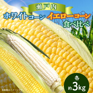 yӂ邳Ɣ[Łz˓zCgR[ECG[R[Hה e3kgy2026-6{`2026-7{zz | Ƃ낱 Y sY  Mtg  p ƒp 蕨 