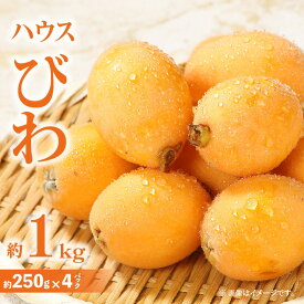 【ふるさと納税】ハウスびわ 約1kg【2026-4月中旬～2026-5月上旬配送】 | 果物 フルーツ 青果物 青果 ジューシー みずみずしい 甘い 贈り物 贈答 ギフト 自宅用 家庭用 ご褒美 おやつ デザート ハウス栽培 生鮮 生鮮食品 グルメ お取り寄せ お取り寄せフルーツ 手土産