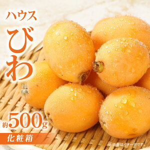 �y�ӂ邳�Ɣ[�Łz�n�E�X�т퉻�ϔ� ��500g�y2026-4�����{�`2026-5����{�z���z | �n�E�X �т� �ʕ� �t���[�c �ʕ� �� �W���[�V�[ �Â� ���� �����p �M�t�g ���蕨 �v���[���g ���J�� ����� 