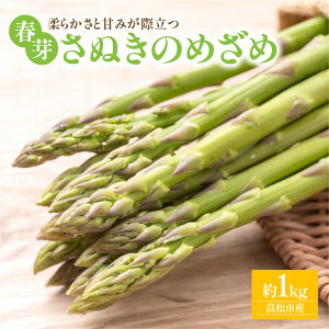 �y�ӂ邳�Ɣ[�Łz�_�炩���ƊÂ݂��ۗ��� ���ʂ��̂߂��ߏt�� ��1kg�y2026-3����{�`2026-4�����{�z���z | �A�X�p���K�X ���Y �Â� �V���L�V���L �I���W�i���i�� �A�X�p�� ���蕨 ����p �ƒ�p