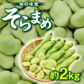 【ふるさと納税】旬の味覚 そらまめ 約2kg【2027年5月上旬～2027年6月上旬配送】 | 国産 高松市産 大粒 甘い 野菜 豆 旬 旬の味覚 食材 食品 おうち時間 家庭用 自宅用 贈り物 お取り寄せ 産地直送 瀬戸内 五色青果 香川県 高松市 送料無料