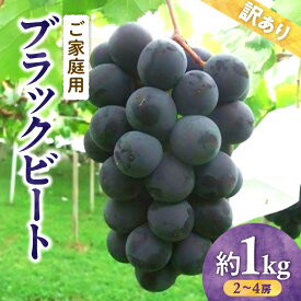 【ふるさと納税】訳あり 家庭用 ブラックビート 約1kg 【2024年8月中旬～2024年9月下旬配送】 ぶどう ブドウ 果物 フルーツ 藤稔 ピオーネ 大粒 黒ぶどう ジューシー 高松市 送料無料