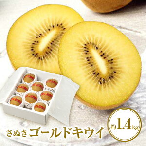 yӂ邳Ɣ[ŁzʂS[hLECϔ@1.4kgy2025-10{`2026-1{zz | ϔ LEC Â 傫 ʕ t[c fU[g XC[c Yn Mtg 蕨 p 