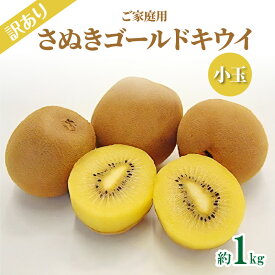 【ふるさと納税】訳あり ご家庭用 さぬきゴールドキウイ (小玉) 約1kg【2025年10月中旬～2026年1月下旬配送】 | ゴールドキウイ キウイ 果物 果実 フルーツ 甘い オリジナル品種 お取り寄せ グルメ 瀬戸内 さぬきゴールド サイズ バラつき デザート 送料無料