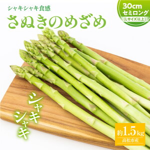 �y�ӂ邳�Ɣ[�Łz�V���L�V���L�H�� ���ʂ��̂߂��� �Z�~�����O 30cm ( L�T�C�Y �ȏ� ) ��1.5kg�y2026-7����{�`2026-10�����{�z���z | �_�炩�� �A�X�p���K�X ��� �H�i �l�C �������� ������ ��