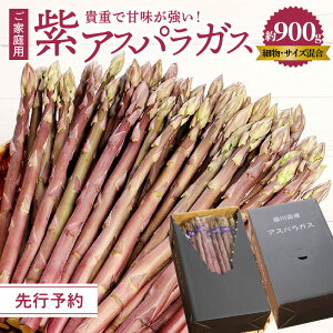 yӂ邳Ɣ[ŁzMdŊÂ݂ ! ƒp  AXpKX (וETCY) 900gy2025-6{`2025-10{zz | _炩 Â  Hi lC   