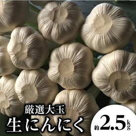 【ふるさと納税】厳選大玉 生にんにく 約2.5kg【2027-5月上旬～2027-6月上旬配送】 | 国産 香川県産 野菜 肉厚 濃厚 新鮮 鮮度抜群 食品 食材 お取り寄せ 自宅用 家庭用 贈り物 瀬戸内 香川県 高松市