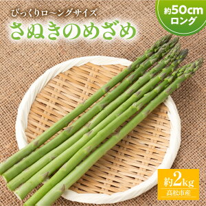 yӂ邳Ɣ[Łzт胍`OTCY ʂ̂߂߃O50cm 2kgy2026-2{`2026-4{zz | sY Y u₩ Â W[V[ O IWii i AXp 