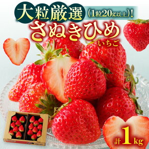 yӂ邳Ɣ[Łz嗱I(120gȏ)!ʂЂ߂ 1kgy2026-3{`2026-3{zz | ʕ t[c ˓ ʏ` Ղ Â Mtg v[g 蕨 p ƒp  