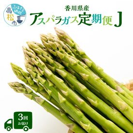【ふるさと納税】香川県産アスパラガス定期便J | さぬきのめざめ 香川県産 定期便J アスパラ 春芽 夏芽 セミロング 瀬戸内 シャキシャキ食感 柔らかい 爽やかな甘み 野菜 食品 人気 おすすめ お取り寄せ野菜 オリジナル品種 送料無料 香川県 高松市