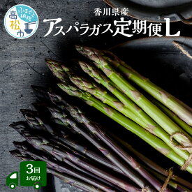 【ふるさと納税】香川県産アスパラガス定期便L | さぬきのめざめ 香川県産 定期便L アスパラ 紫アスパラガス 春芽 セミロング 食べ比べ 瀬戸内 シャキシャキ食感 柔らかい 爽やかな甘み 野菜 食品 人気 おすすめ お取り寄せ野菜 オリジナル品種 送料無料 香川県 高松市