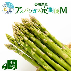 【ふるさと納税】香川県産アスパラガス定期便M | さぬきのめざめ 香川県産 定期便M 春芽 ロング セミロング 食べ比べ 瀬戸内 シャキシャキ食感 柔らかい 爽やかな甘み 野菜 食品 人気 おすすめ お取り寄せ野菜 オリジナル品種 送料無料 香川県 高松市