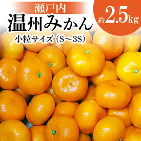 【ふるさと納税】 瀬戸内温州みかん 小粒 サイズ 約2.5kg 【10月下旬～1月下旬配送予定】 瀬戸内 温州 みかん 柑橘 果物 フルーツ 果実 温州みかん S～3Sサイズ 混合 食品 お取り寄せ グルメ お取り寄せグルメ 香川県 高松市 送料無料