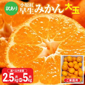 【ふるさと納税】＼寄附額改定／内容量が選べる【訳あり】ご家庭用小原紅早生みかん(大玉)　 | みかん 蜜柑 小原紅早生 早生 果物 フルーツ 青果 青果物 デザート スイーツ アレンジ オリジナル品種 小原紅早生 Lサイズ 柑橘 フルーツ