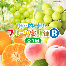 【ふるさと納税】【3回お届け】高松市自慢のフルーツ定期便【B】 | 果物 フルーツ 果実 桃 シャインマスカット 温州みかん 香川の桃 マスカット みかん 小粒 デザート スイーツ 贈答 贈り物 ギフト おすそ分け グルメ お取り寄せ 香川県 高松市
