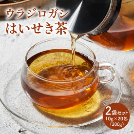 【ふるさと納税】ウラジロガシ はいせき茶　2袋セット | ウラジロガシ ウラジロガシはいせき茶 2袋 セット ノンカフェイン 栄養たっぷり パック パック茶 お茶 茶 ブレイクタイム モーニング 朝 香川県 高松市 送料無料