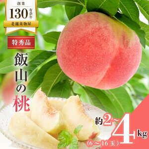 yӂ邳Ɣ[Łz Gi Y юR̓ 2kg (6-8)   t[c ʕ  fU[g XC[c P[L [[ W[X W ACX V[xbg WF[g ӂ邳Ɣ[Ń 