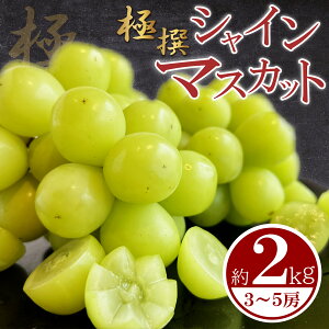 yӂ邳Ɣ[Łz s\ ɐ VC}XJbg 2kgi3-5[j}XJbg Ԃǂ  ӂ邳Ɣ[ŃVC}XJbg ӂ邳Ɣ[łԂǂ t[c fU[g P[L ACX V[x