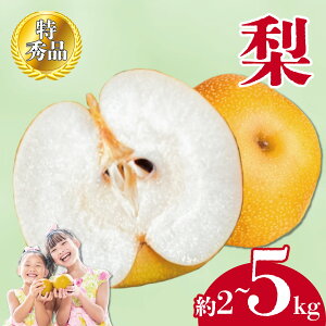 yӂ邳Ɣ[Łz s\ Gi  2kg ۋTY iV ʕ t[c ʎ XC[c fU[g [[ ACX V[xbg W W[X WF[g H ӂ邳Ɣ[ŗ ӂ邳Ɣ[