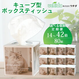 【ふるさと納税】 ティッシュペーパー 選べる容量 14箱 28箱 42箱 80W 160枚 (80枚) キューブ型 省スペース ティッシュ ティッシュペーパー 日用品 消耗品 生活用品 ボックスティシュ ティシュペーパーノベルティ日用品 消耗品 高品質 防災 備蓄 災害 送料無料