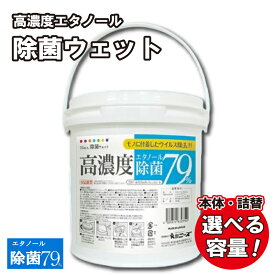 【ふるさと納税】 【高濃度エタノール除菌79％ウェット300】【本体・詰替え 選べる容量(300枚入)】バケツタイプ 大容量 除菌 ウェットティッシュ ウェットシート 人気日用品 日用品 生活用品 掃除 掃除用品 アウトドア レジャー キャンプ まとめ買い 消耗品