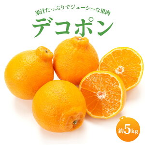 yӂ邳Ɣ[Łz y2026N3{甭zfR|(L`2L) 3kg`5kg łۂ ݂  ~J k ʕ  ʎ t[c { {̉ʕ fU[g XC[c  [[ W[X 