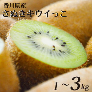 yӂ邳Ɣ[Łz ʂLEC LEC Iׂ 1kg - 3kg 퉷 s\ 11{ȍ~ ʕ t[c 쌧 ۋTs