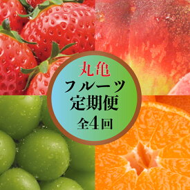【ふるさと納税】 甘くてジューシー！ 丸亀の人気フルーツ定期便 全4回 いちご 桃 シャインマスカット みかん さぬきひめ 金時紅みかん 香川県 丸亀市