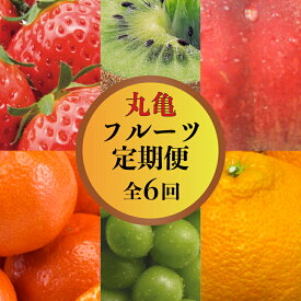 【ふるさと納税】 果物を贅沢に味わう 丸亀のフルーツ定期便 全6回 キウイ いちご 不知火 桃 シャインマスカット みかん さぬきひめ さぬき紅みかん 香緑 香川県 丸亀市