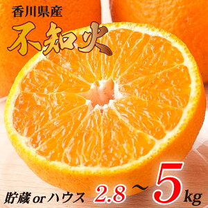 yӂ邳Ɣ[Łz sm Iׂ 2.8kg 3kg 5kg nEX  퉷 ① s\ ʂ ʕ t[c 쌧 ۋTs