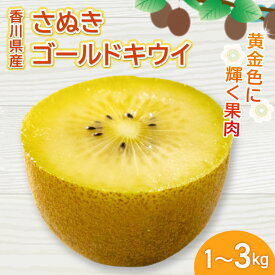 【ふるさと納税】 さぬきゴールドキウイ 選べる 約1g ~ 約3kg 先行予約 キウイ 果物 フルーツ 香川県 丸亀市