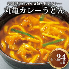 【ふるさと納税】 カレーうどん 半生 ゆで スープ付 4人前 6人前 16人前 24人前 讃岐うどん カレー うどん 香川県 丸亀市 う ど ん